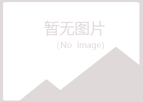 城北区清新金属有限公司